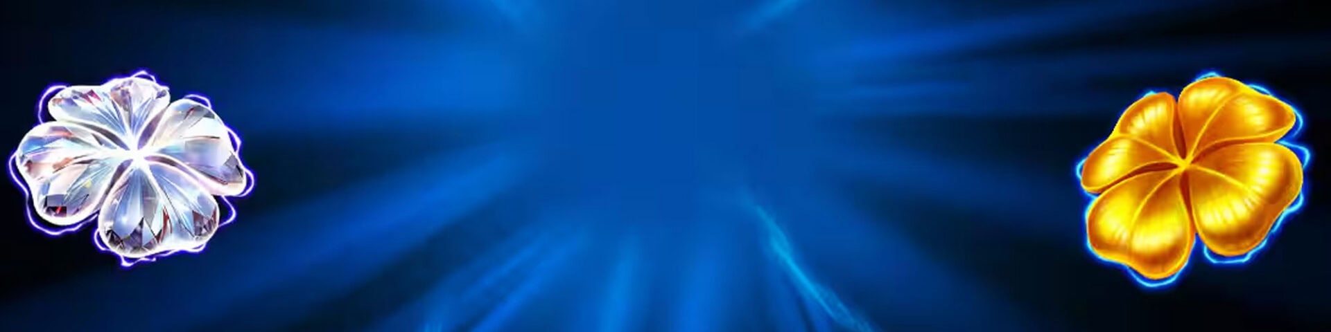 Demo Image